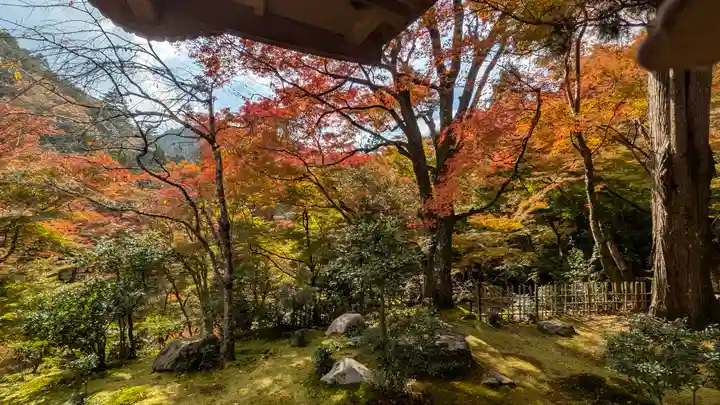 高山寺(京都府)