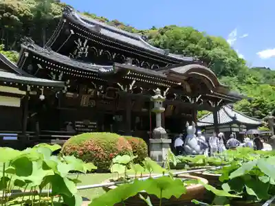 三室戸寺の本殿・本堂