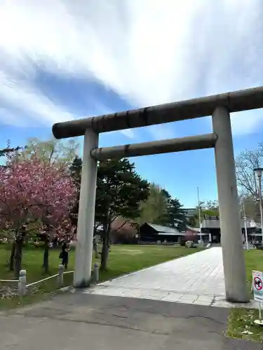 札幌護國神社の{uncategorized: "未分類", other: "その他", undefined: "問題あり", building: "その他建物", grave: "お墓", sacred_gate: "鳥居", guardian: "狛犬", statue: "像", buddha: "仏像", history: "歴史", nature: "自然", garden: "庭園", animal: "動物", pagoda: "塔", temizu: "手水舎", mountain_gate: "山門・神門", sanctuary: "本殿・本堂", subordinate: "末社・摂社", art: "芸術", scenery: "景色", jizo: "地蔵", ema: "絵馬", goshuin: "御朱印", omikuji: "おみくじ", items: "授与品その他", amulet: "お守り", goshuincho: "御朱印帳", eats: "食事", festival: "お祭り", votive_dance: "神楽", shichigosan: "七五三参", wedding: "結婚式", experience: "体験その他", initially: "初詣", around: "周辺", anti_infection: "感染症対策"}