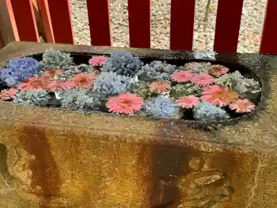 黄龍神社(新潟県)