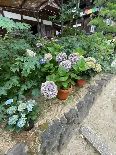 岡寺（龍蓋寺）(奈良県)