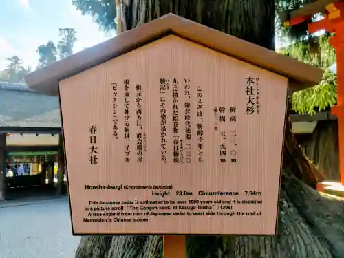 春日大社の{uncategorized: "未分類", other: "その他", undefined: "問題あり", building: "その他建物", grave: "お墓", sacred_gate: "鳥居", guardian: "狛犬", statue: "像", buddha: "仏像", history: "歴史", nature: "自然", garden: "庭園", animal: "動物", pagoda: "塔", temizu: "手水舎", mountain_gate: "山門・神門", sanctuary: "本殿・本堂", subordinate: "末社・摂社", art: "芸術", scenery: "景色", jizo: "地蔵", ema: "絵馬", goshuin: "御朱印", omikuji: "おみくじ", items: "授与品その他", amulet: "お守り", goshuincho: "御朱印帳", eats: "食事", festival: "お祭り", votive_dance: "神楽", shichigosan: "七五三参", wedding: "結婚式", experience: "体験その他", initially: "初詣", around: "周辺", anti_infection: "感染症対策"}