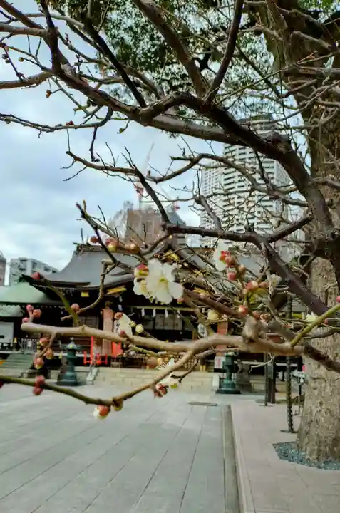 熊野神社(東京都)