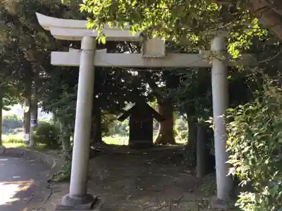 小川泉水神社の鳥居