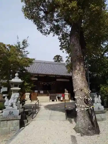 神館神社の本殿・本堂