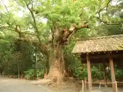 月夜見宮（豊受大神宮別宮）(三重県)