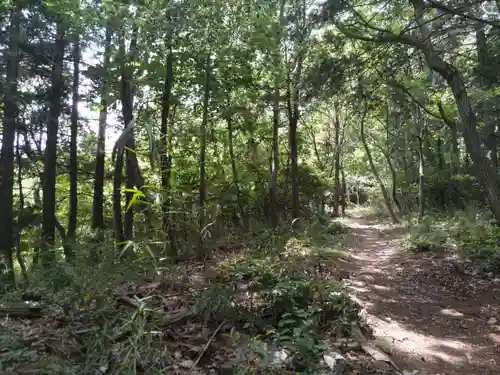 賀茂別雷神社(栃木県)