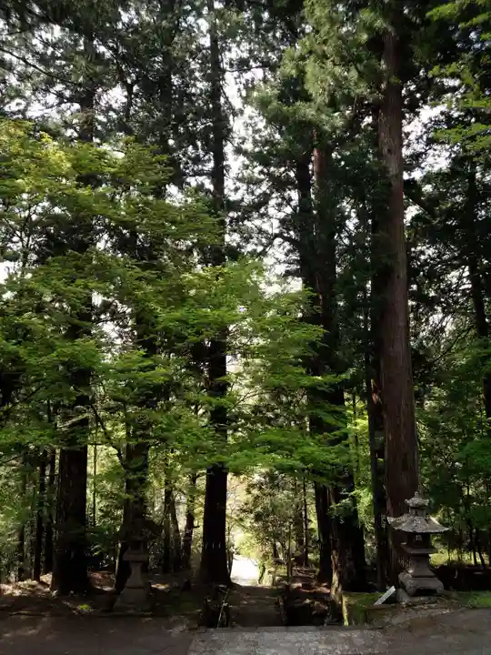 金櫻神社の自然