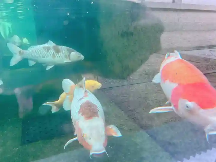 大聖観音寺(あびこ観音)(大阪府)