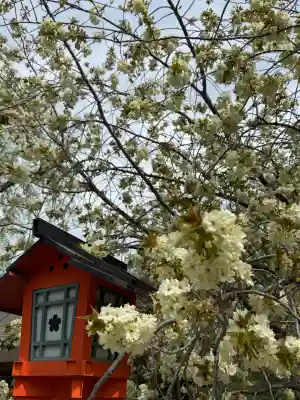平野神社の{uncategorized: "未分類", other: "その他", undefined: "問題あり", building: "その他建物", grave: "お墓", sacred_gate: "鳥居", guardian: "狛犬", statue: "像", buddha: "仏像", history: "歴史", nature: "自然", garden: "庭園", animal: "動物", pagoda: "塔", temizu: "手水舎", mountain_gate: "山門・神門", sanctuary: "本殿・本堂", subordinate: "末社・摂社", art: "芸術", scenery: "景色", jizo: "地蔵", ema: "絵馬", goshuin: "御朱印", omikuji: "おみくじ", items: "授与品その他", amulet: "お守り", goshuincho: "御朱印帳", eats: "食事", festival: "お祭り", votive_dance: "神楽", shichigosan: "七五三参", wedding: "結婚式", experience: "体験その他", initially: "初詣", around: "周辺", anti_infection: "感染症対策"}