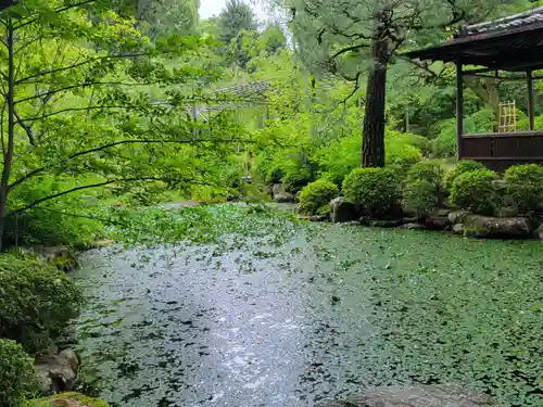 平安神宮(京都府)