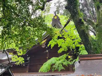 若宮八幡社の本殿・本堂