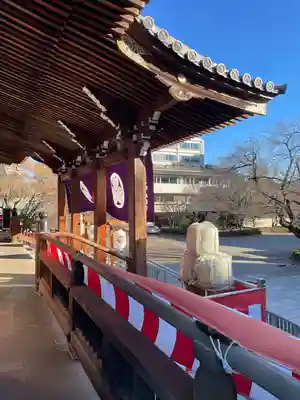 伝通院(東京都)