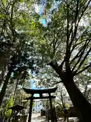 岩崎神社(長野県)