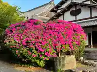 大本山誕生院 (佐賀県)