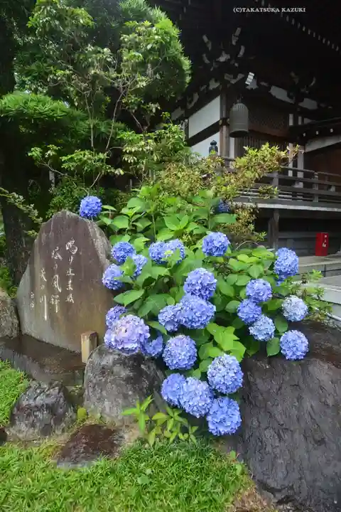 高幡不動尊 金剛寺(東京都)