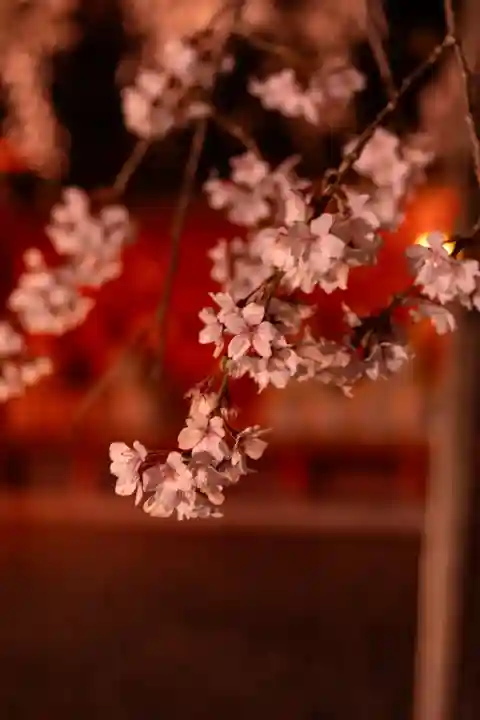 富士山本宮浅間大社(静岡県)