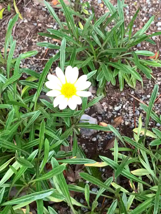 伊勢山皇大神宮の自然