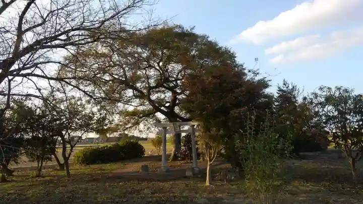 相野谷八幡神社(茨城県)
