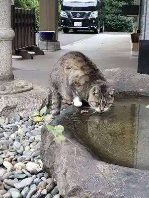 白金氷川神社(東京都)