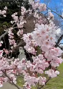 蚊里田八幡宮(長野県)(2025年04月09日(水) 12時29分18秒投稿)