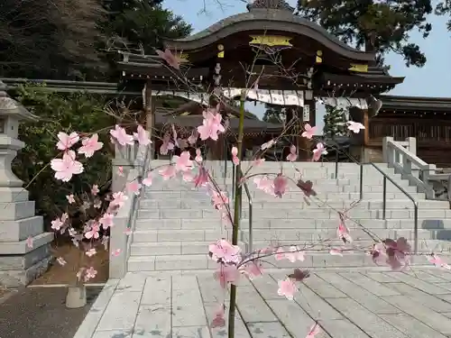 高麗神社(埼玉県)