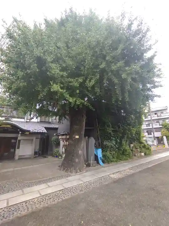 橋場寺不動院(橋場不動尊)(東京都)