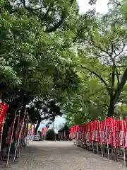 住吉大社(大阪府)