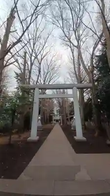 南荻窪天祖神社(東京都)
