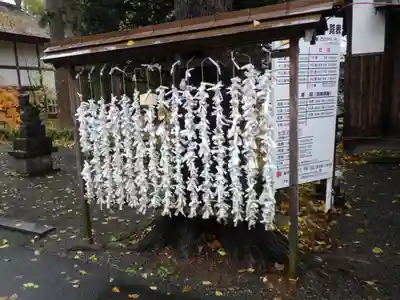 旭川神社のおみくじ