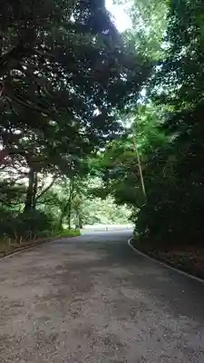 明治神宮(東京都)