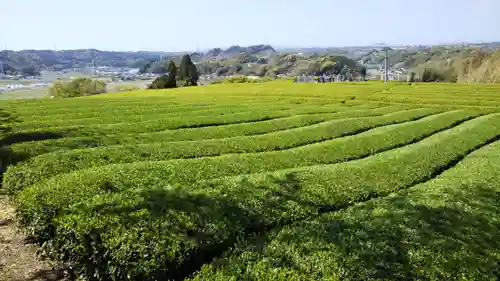 帝釈山女神社の自然