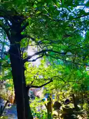 五所駒瀧神社(茨城県)