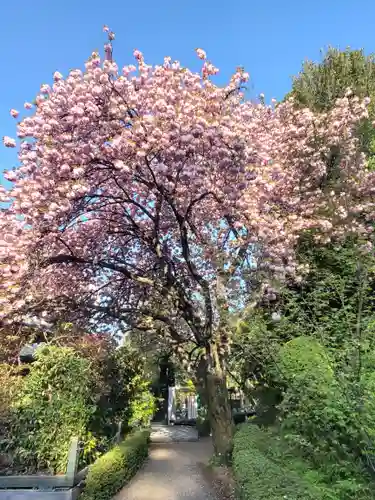 冠稲荷神社の自然