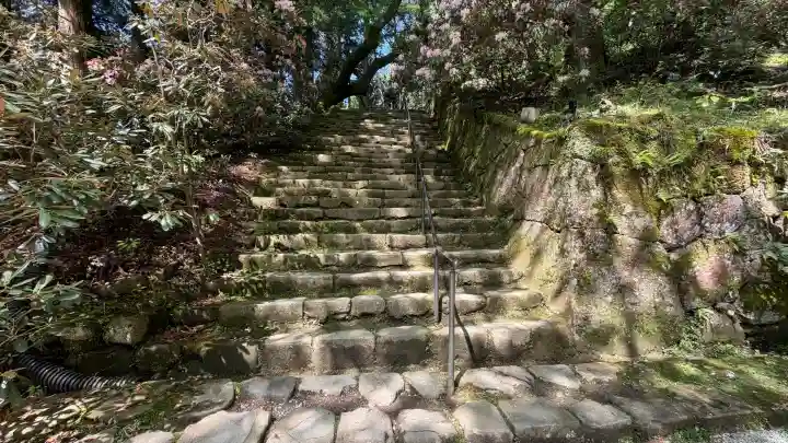 室生寺の{uncategorized: "未分類", other: "その他", undefined: "問題あり", building: "その他建物", grave: "お墓", sacred_gate: "鳥居", guardian: "狛犬", statue: "像", buddha: "仏像", history: "歴史", nature: "自然", garden: "庭園", animal: "動物", pagoda: "塔", temizu: "手水舎", mountain_gate: "山門・神門", sanctuary: "本殿・本堂", subordinate: "末社・摂社", art: "芸術", scenery: "景色", jizo: "地蔵", ema: "絵馬", goshuin: "御朱印", omikuji: "おみくじ", items: "授与品その他", amulet: "お守り", goshuincho: "御朱印帳", eats: "食事", festival: "お祭り", votive_dance: "神楽", shichigosan: "七五三参", wedding: "結婚式", experience: "体験その他", initially: "初詣", around: "周辺", anti_infection: "感染症対策"}