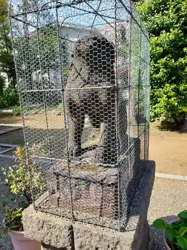 御霊神社の狛犬