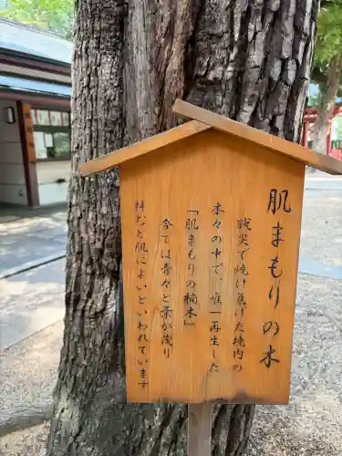 御霊神社(大阪府)
