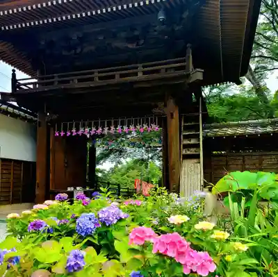 普門寺(切り絵御朱印発祥の寺)(愛知県)