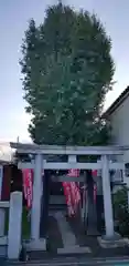 稲荷神社の鳥居