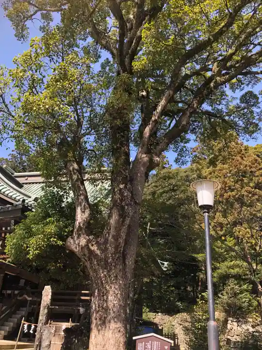 筑波山神社(茨城県)