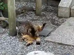 小野照崎神社の動物