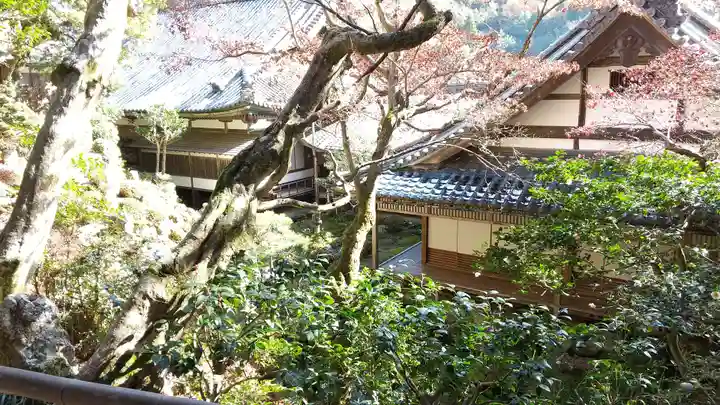 柳谷観音 楊谷寺の景色