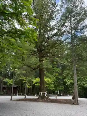 北口本宮冨士浅間神社(山梨県)