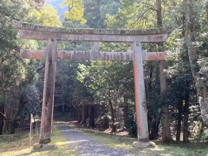 少彦名神社の鳥居