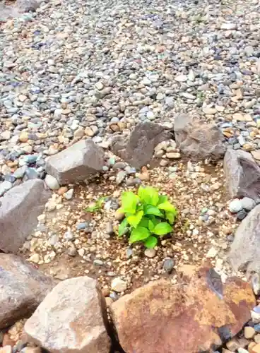 磐井神社(東京都)