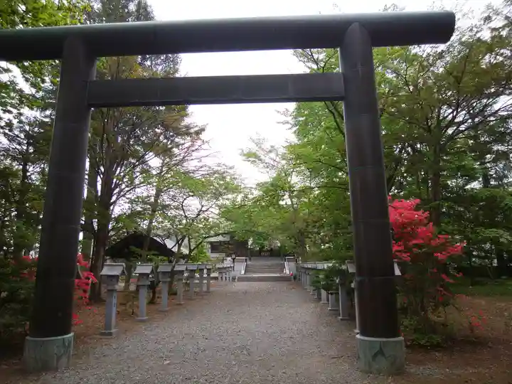 信濃神社の鳥居
