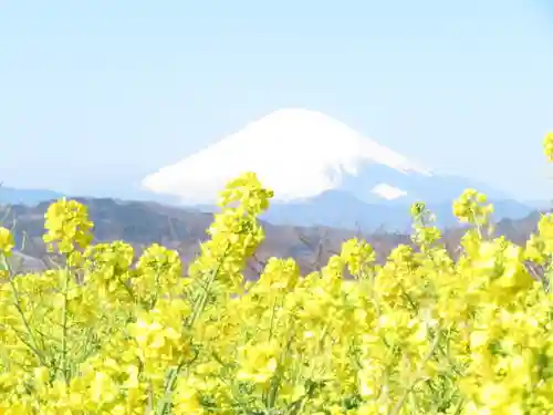 吾妻神社の景色