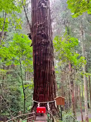 志和稲荷神社の自然