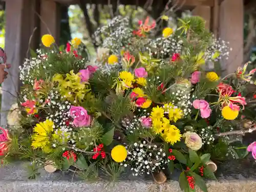 富知六所浅間神社の手水