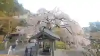 南湖神社(福島県)